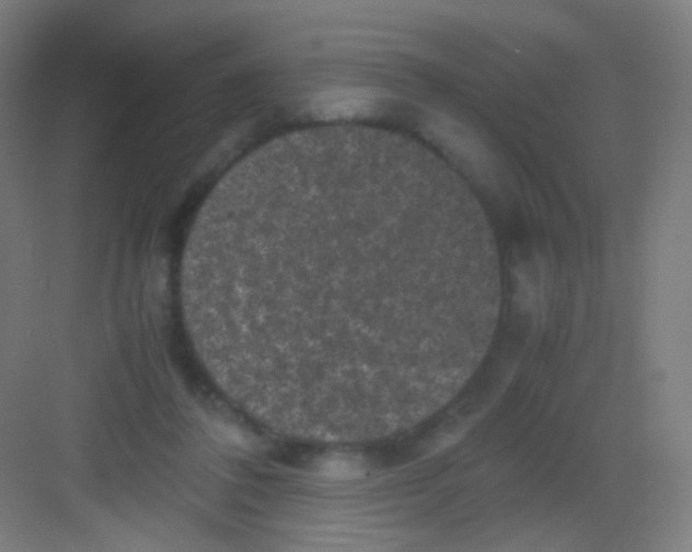 X0000081350308200702082301