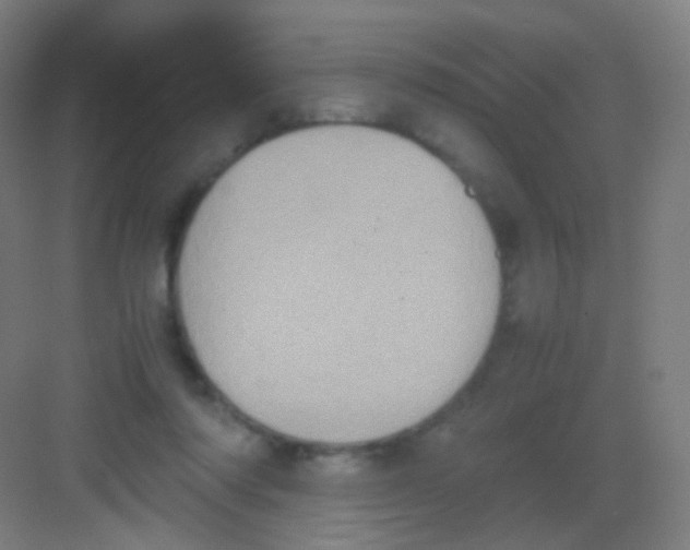 X0000081350310200702082301