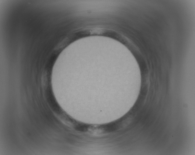 X0000081350311200702082301