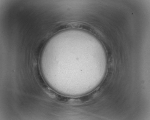 X0000081350315200702082301