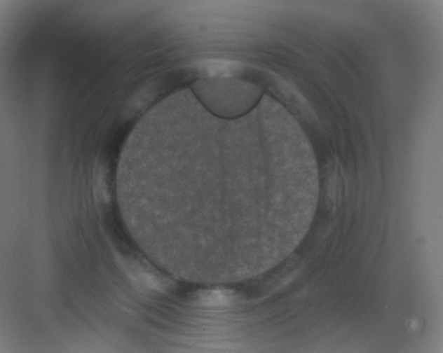 X0000081350316200702082301