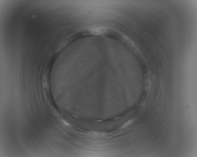 X0000081350317200702082301