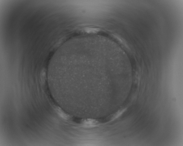 X0000081350321200702082301