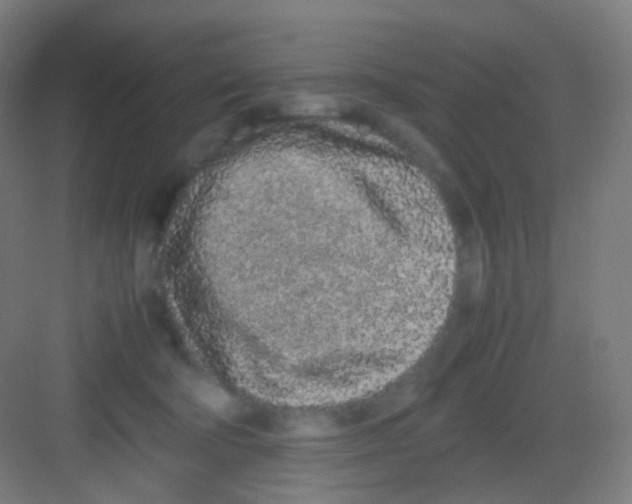 X0000081350322200702082301