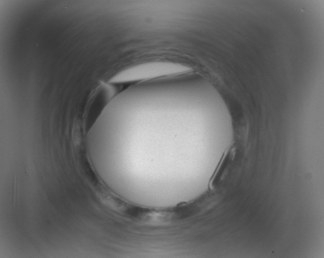 X0000081350323200702082301