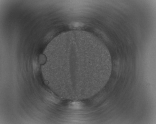 X0000081350324200702082301