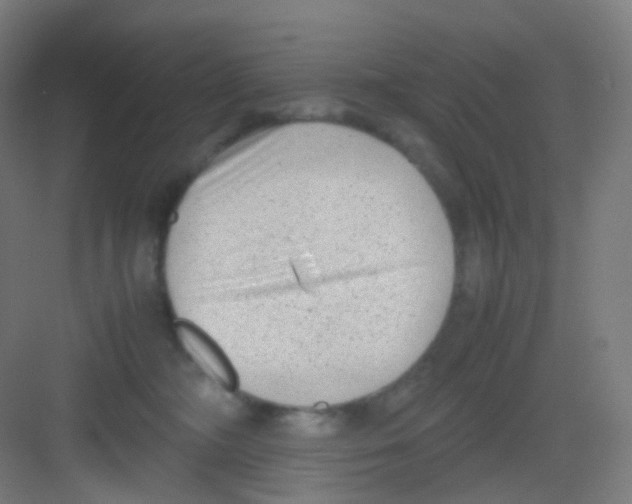 X0000081350326200702082301