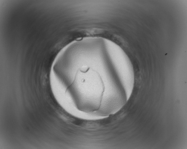 X0000081350327200702082301