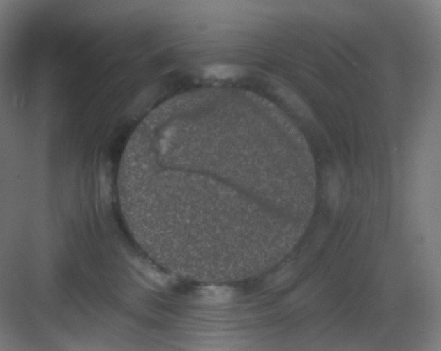 X0000081350328200702082301