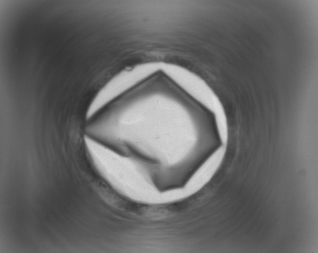 X0000081350331200702082301