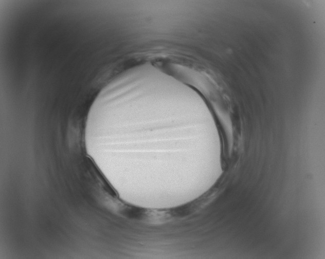 X0000081350333200702082301