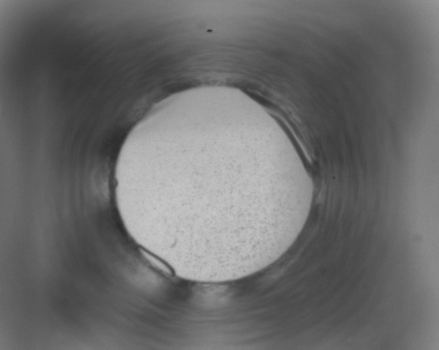 X0000081350334200702082301