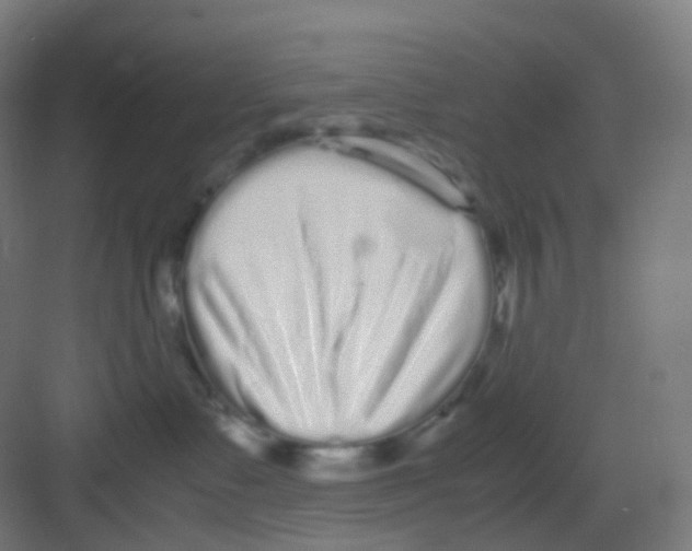 X0000081350335200702082301