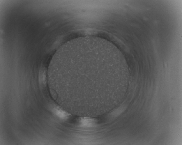 X0000081350336200702082301