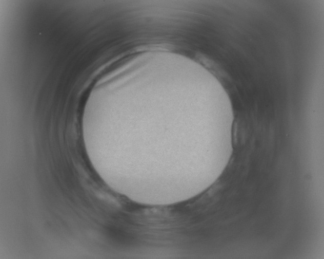 X0000081350338200702082300