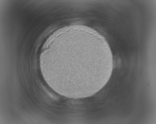 X0000081350339200702082300