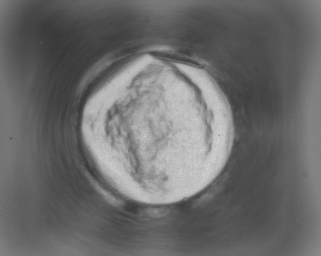 X0000081350341200702082300