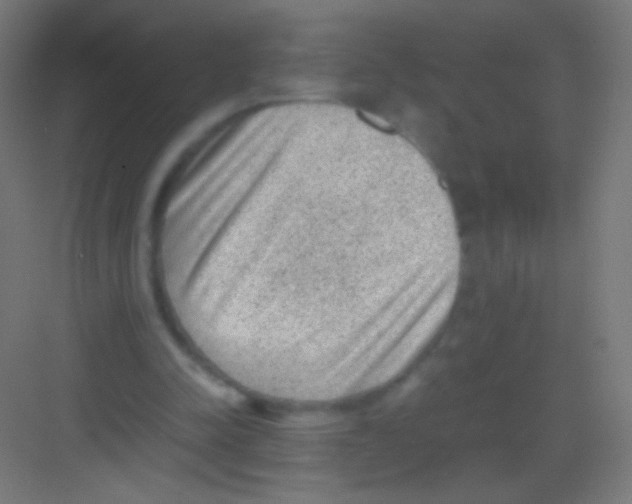 X0000081350342200702082300