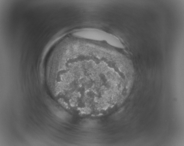 X0000081350343200702082300