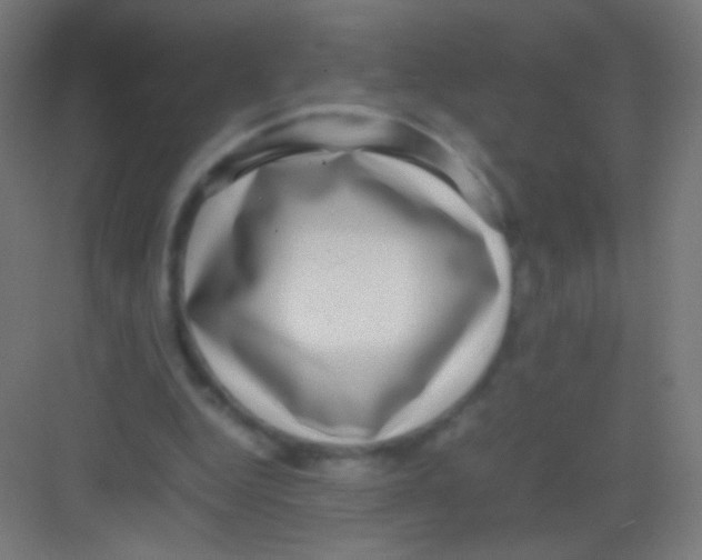 X0000081350344200702082300