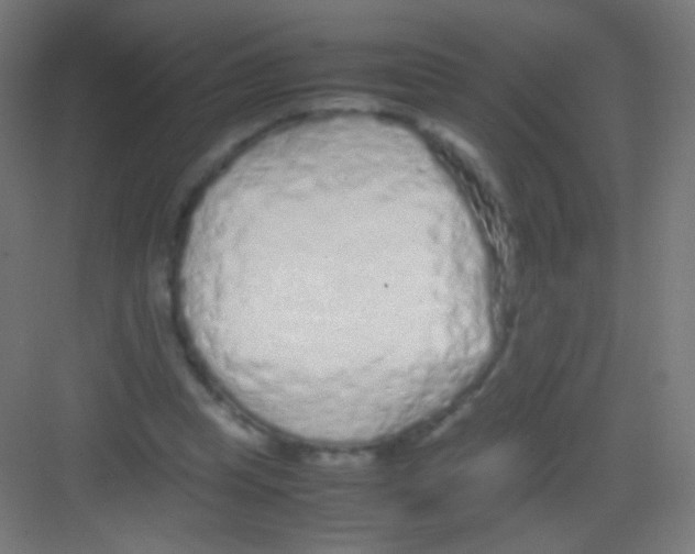 X0000081350345200702082300