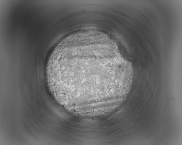 X0000081350347200702082300