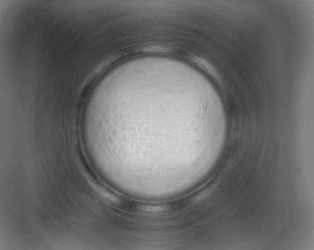 X0000081350349200702082300