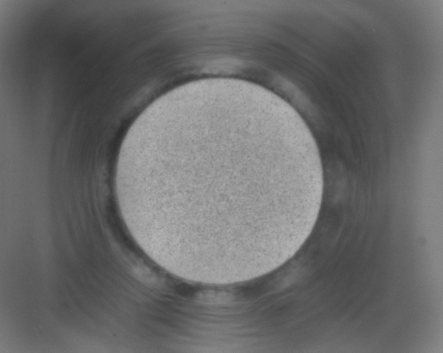 X0000081350354200702082300