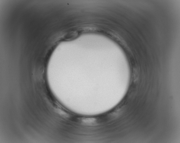 X0000081350355200702082300