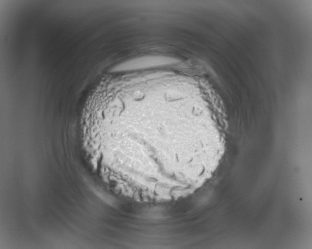 X0000081350357200702082300