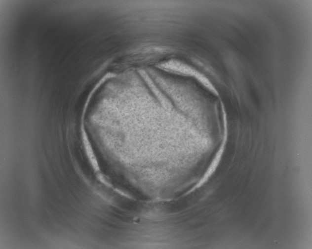 X0000081350358200702082300