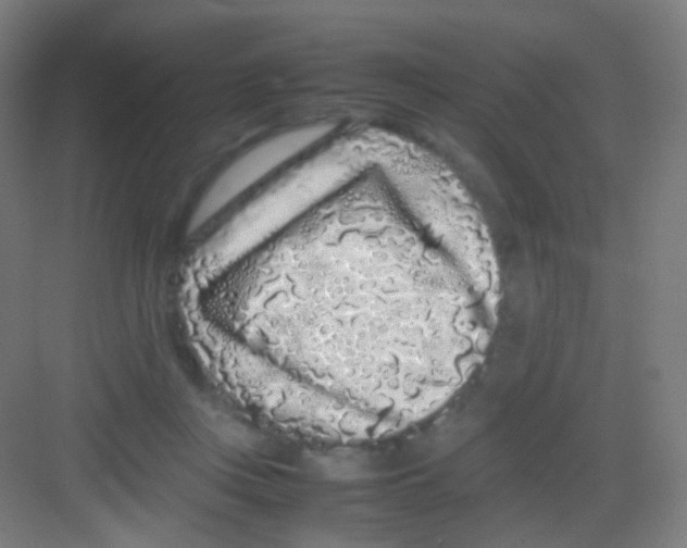 X0000081350359200702082300