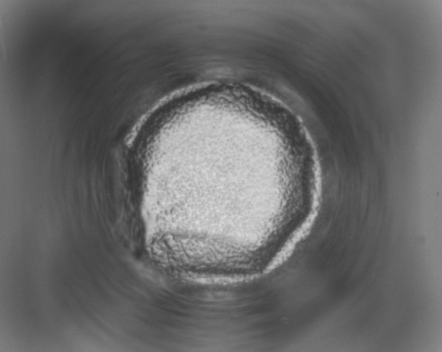 X0000081350361200702082300