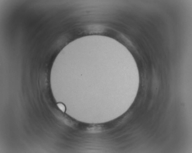 X0000081350362200702082300