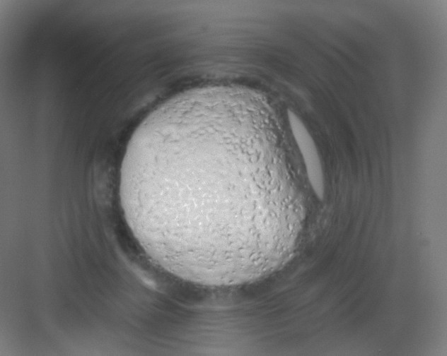 X0000081350364200702082300