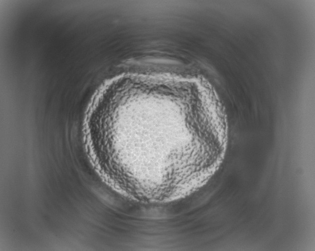 X0000081350365200702082300