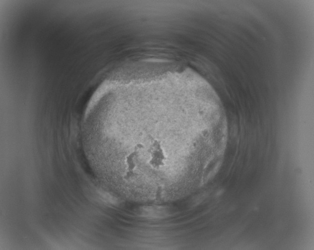 X0000081350367200702082300