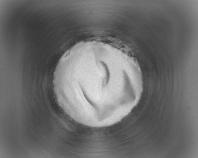 X0000081350368200702082300