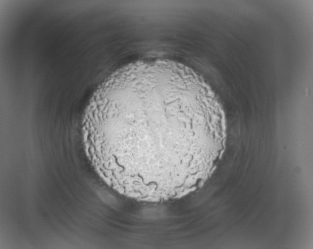 X0000081350369200702082300