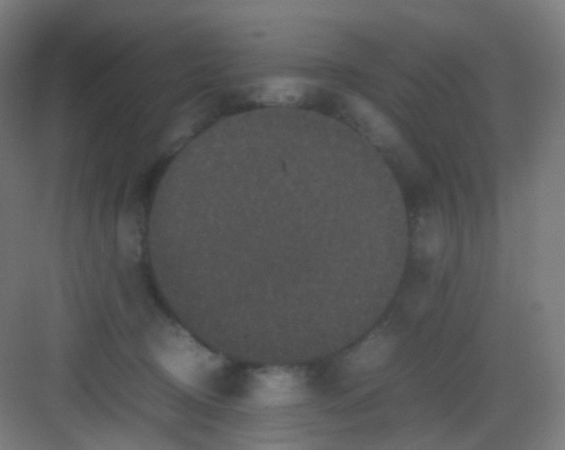 X0000081350370200702082300