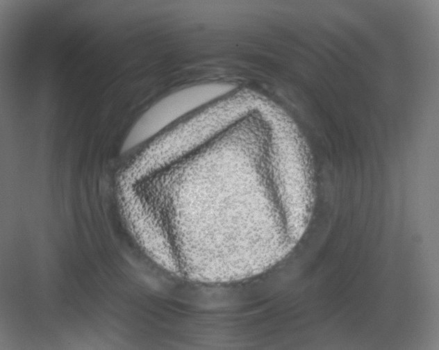 X0000081350371200702082300