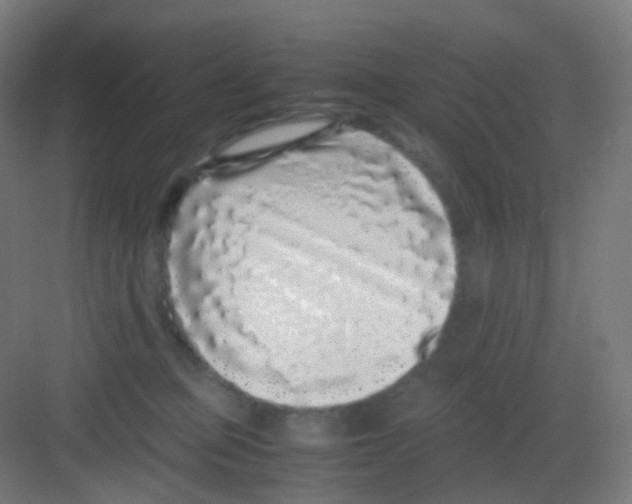 X0000081350373200702082301