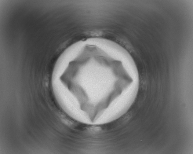 X0000081350374200702082301