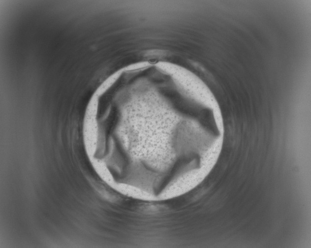 X0000081350379200702082301