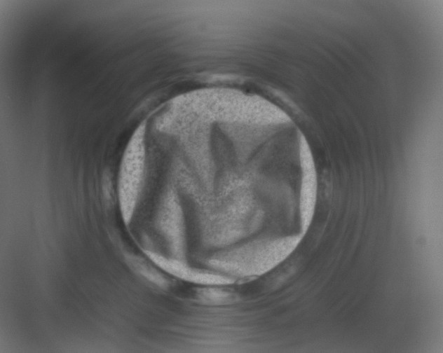 X0000081350380200702082301