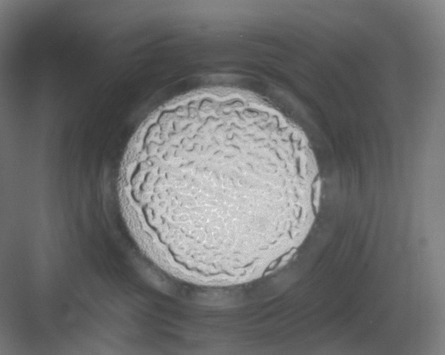 X0000081350381200702082301