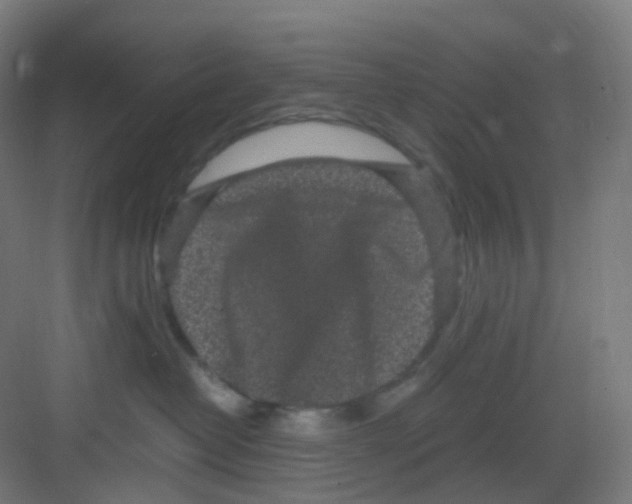 X0000081350382200702082301