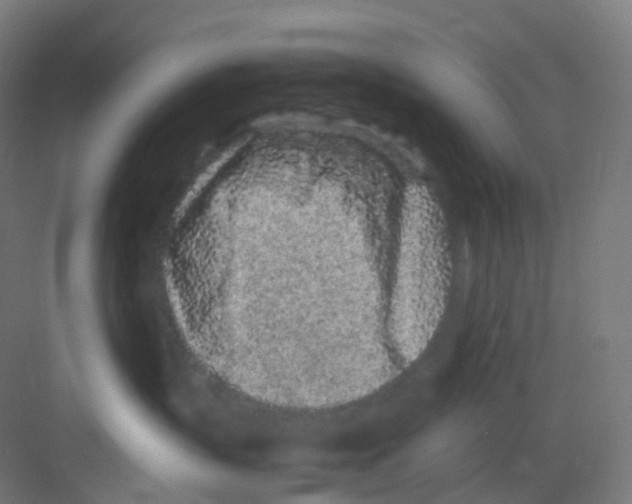 X0000081350383200702082301