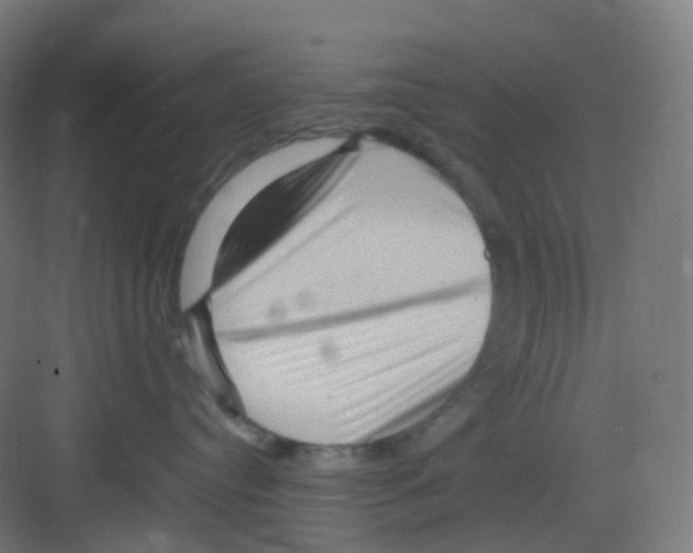 X0000081350384200702082301