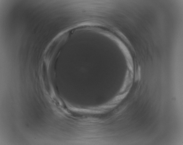 X0000081350387200702082300